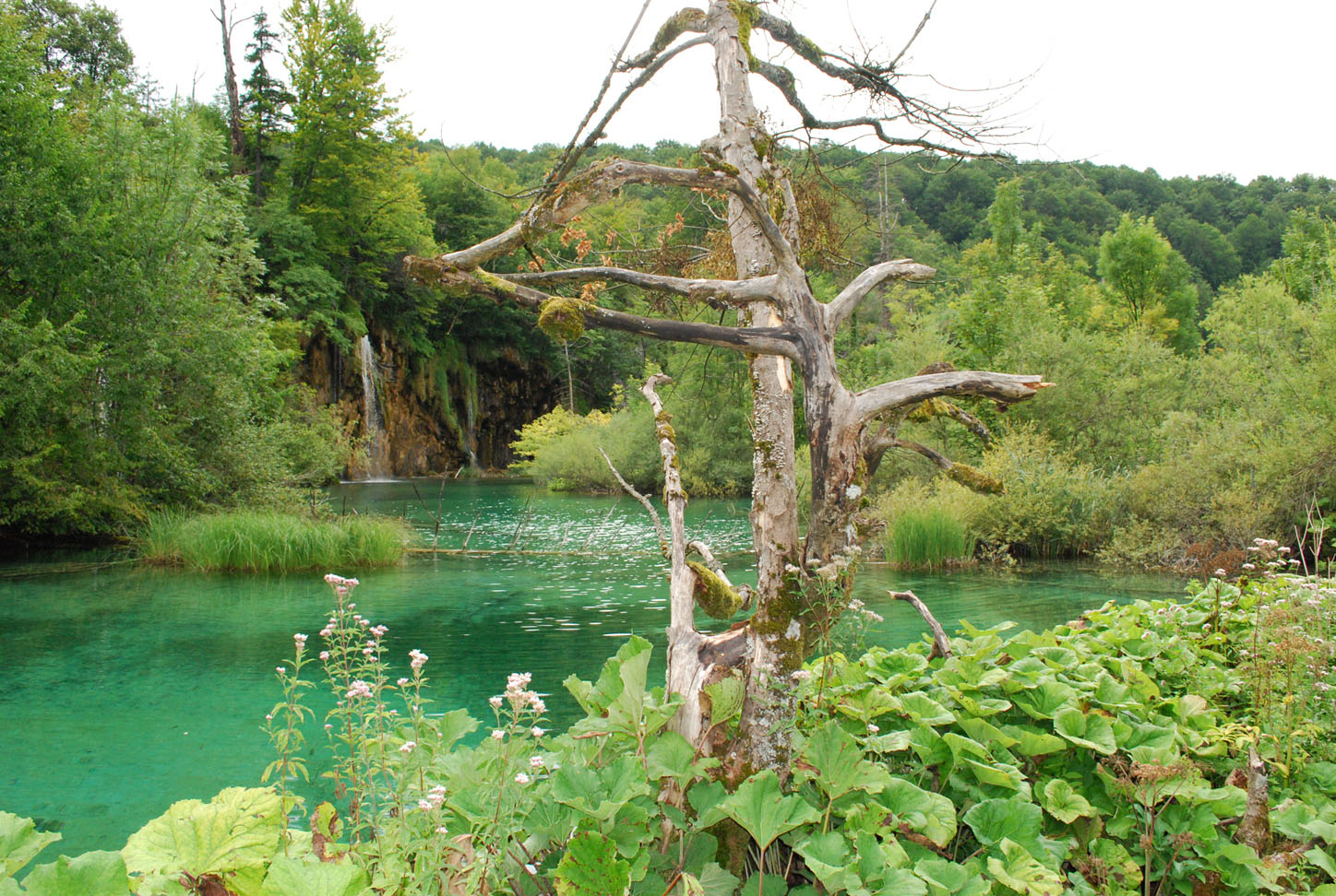 Plitvice Lakes N.P.